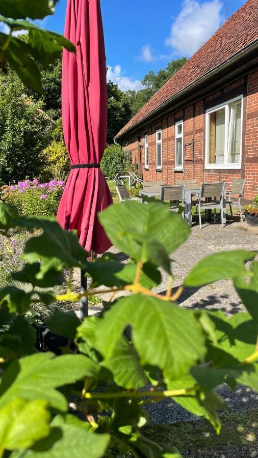 Hof Dueshop Apartment Bad Fallingbostel Exterior photo