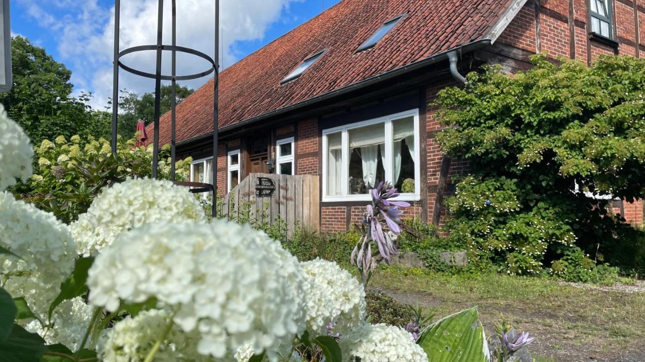 Hof Dueshop Apartment Bad Fallingbostel Exterior photo