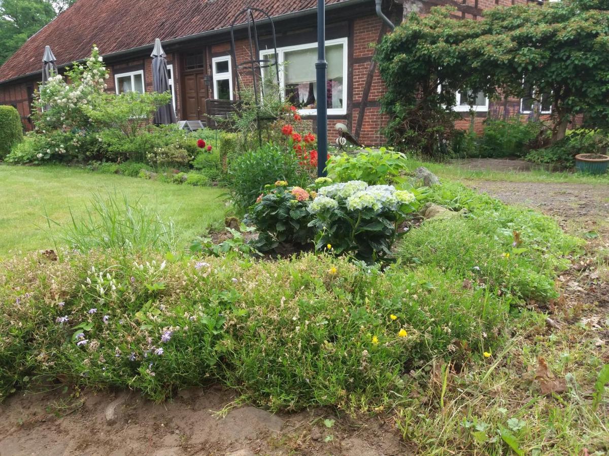 Hof Dueshop Apartment Bad Fallingbostel Exterior photo